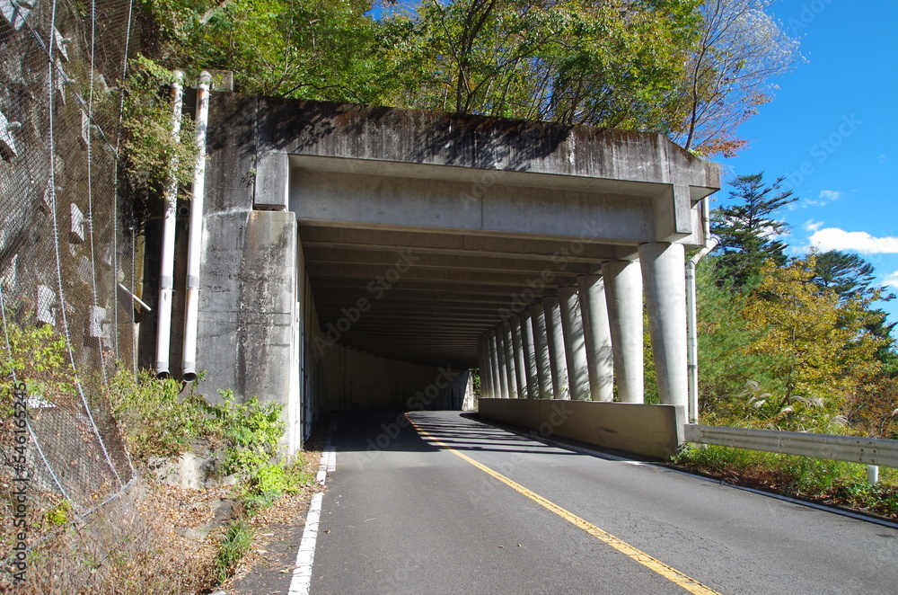 秋の道路とスノーシェッド