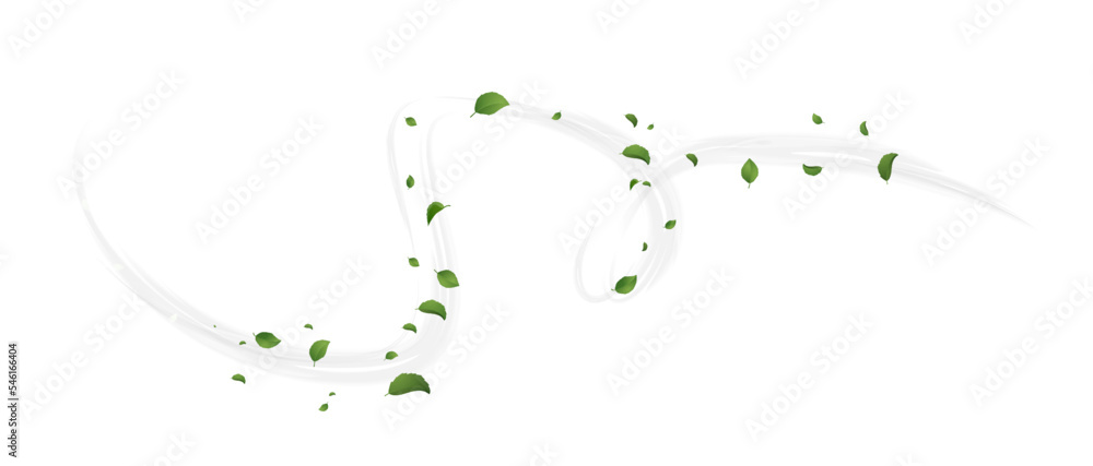 Spiral wind blowing with leaves concept of fresh ecological summer or spring vibe