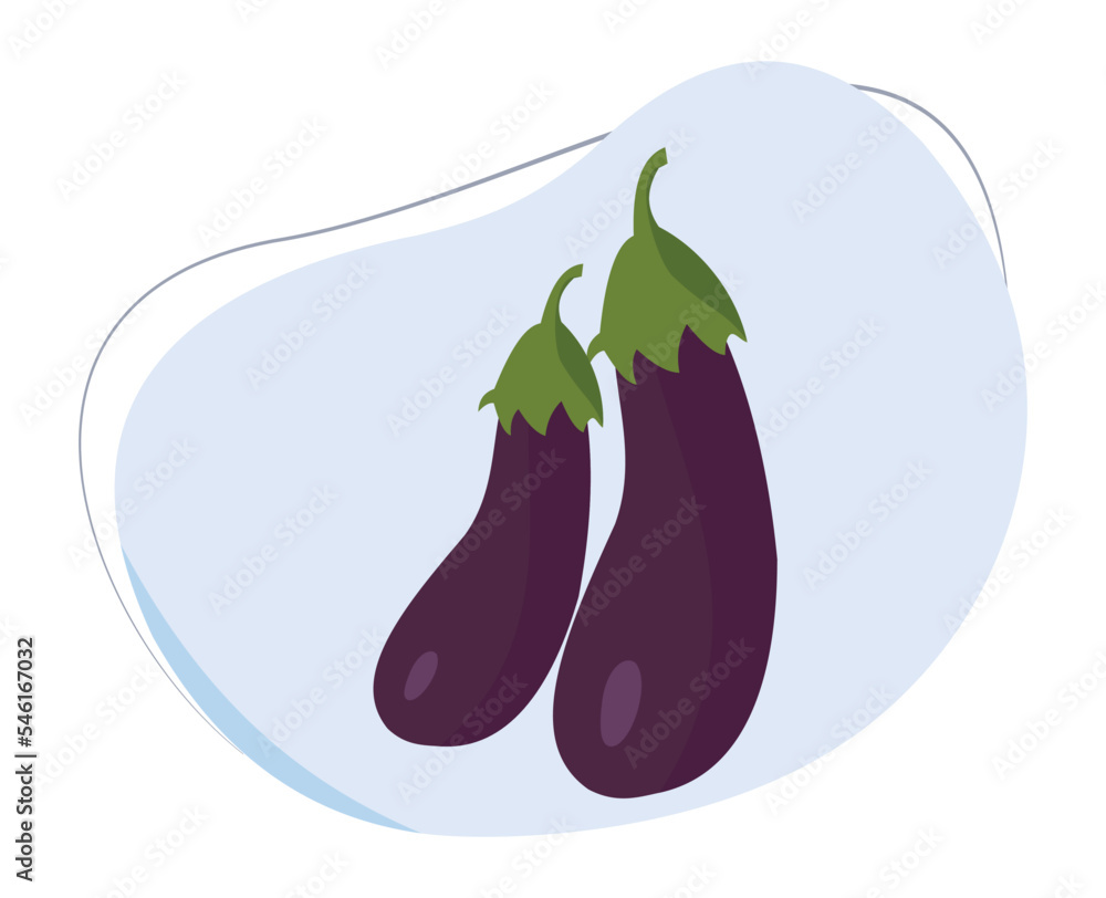 eggplant cartoon vector for education about fruits and vegetables. flat design vector eggplant cartoon vector for education about fruits and vegetables. flat design vector