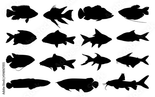 Images of various types of freshwater fish in silhouette format