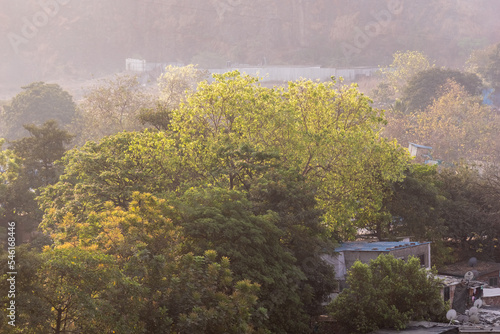 Smoke and fog covering the green forests and trees of the outskirts of the Sanjay Gandhi National Park in Mumbai. photo