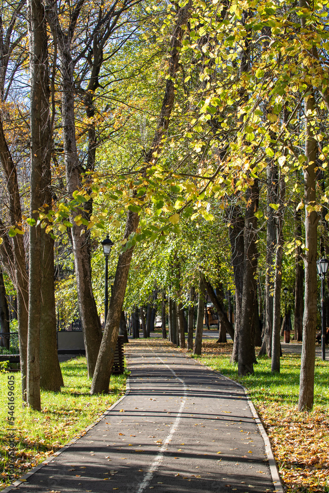 Golden autumn in the city park, landscape. Golden autumn in the city park, landscape.
