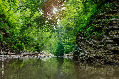 Forest landscape with a stream and mossy rocks. Nature background.