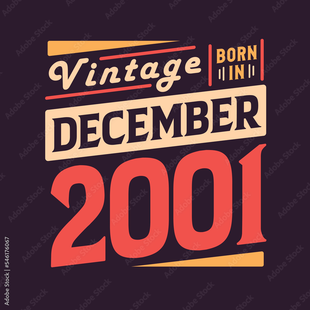 Vintage born in December 2001. Born in December 2001 Retro Vintage Birthday