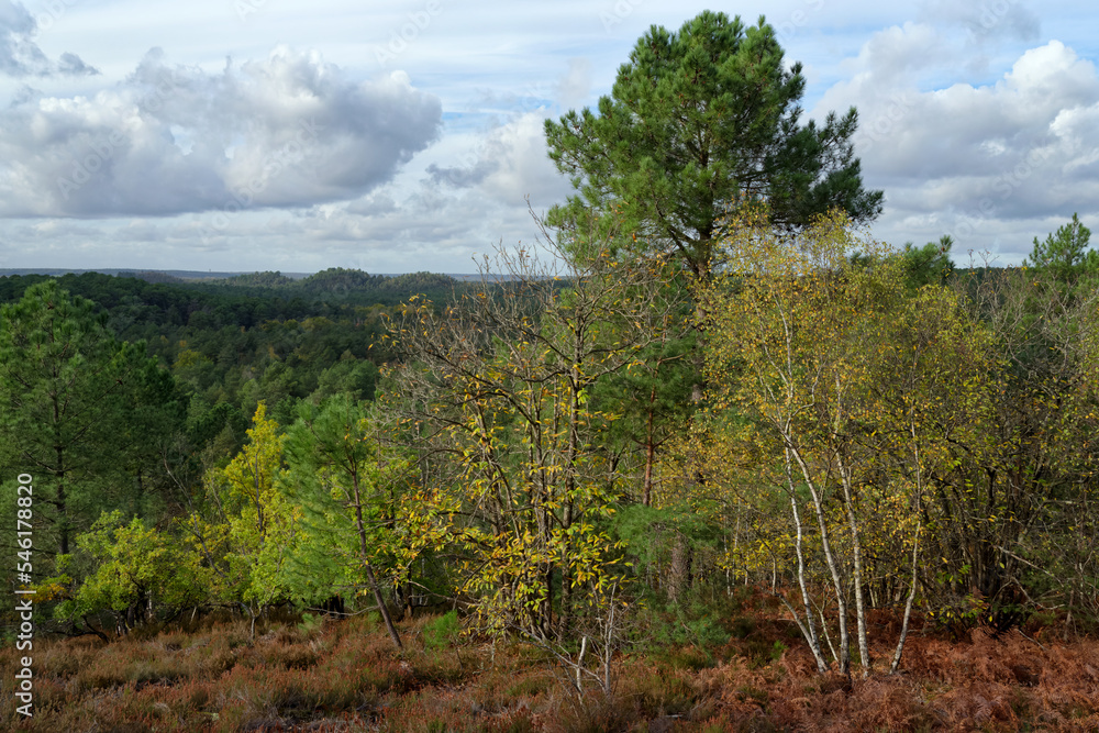 Rocks and hills in the circuit of 25 bumps. Fontainebleau forest