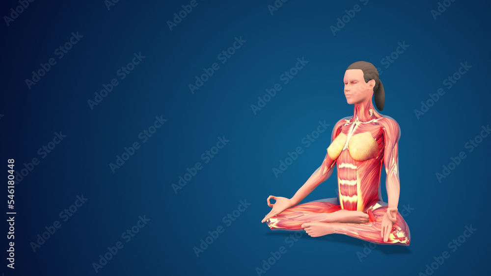 3D human Siddhasana with hand mudra yoga Pose on blue background