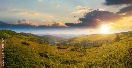 panoramic view in to valley. stunning landscape of carpathian mountains at sunset in summer. forested hills and grassy meadows beneath a bright blue sky in evening light