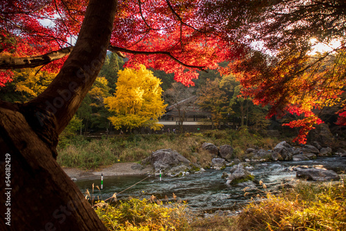 Tama River (Okutama Fishing Center to Mitake Station) photo