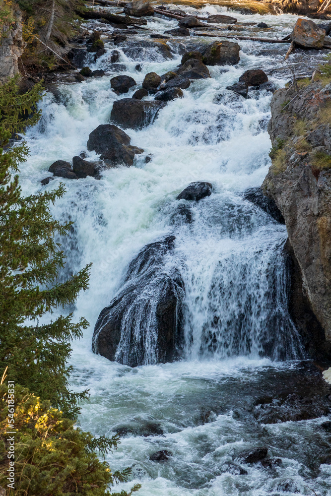Fototapeta premium Firehole falls at Yellowstone national park. USA.