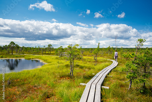 Kemeri bog National Park, Latvia photo