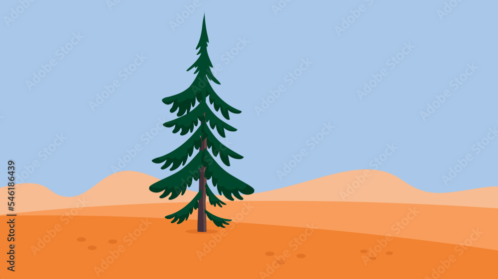 Spruce in the desert among the sand