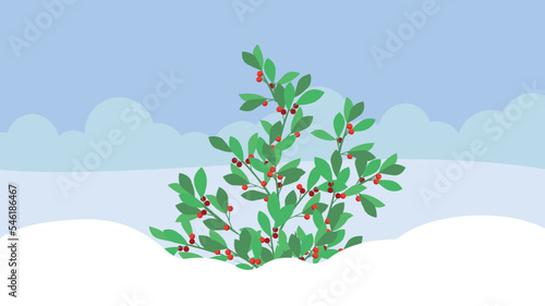 green bush with berries in the snow