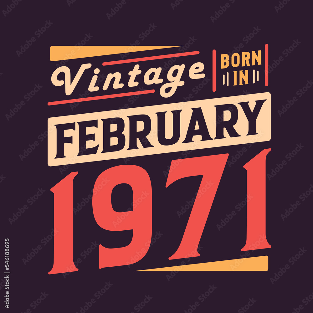 Vintage born in February 1971. Born in February 1971 Retro Vintage Birthday