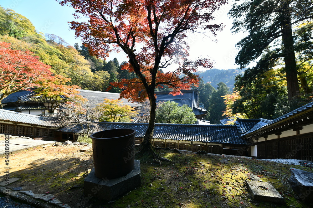 Obraz premium 紅葉の福井の永平寺