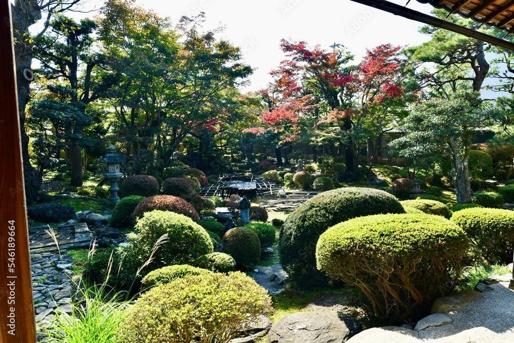 福井の寺の紅葉