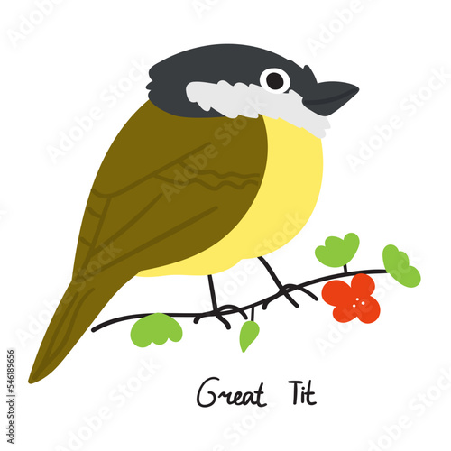 Cute little bird. Great tit on branch. Hand drawn Illustration.