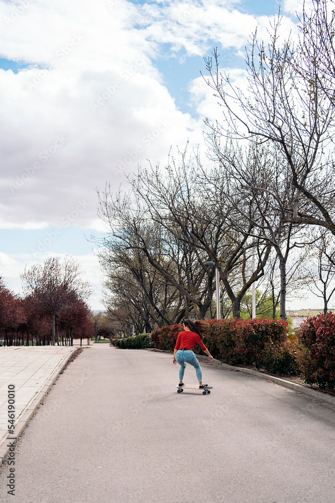 Skater Girl Practicing in the Park Skater Girl Practicing in the Park