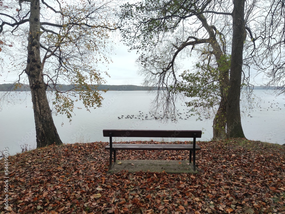 bench in park