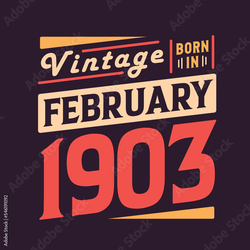 Vintage born in February 1903. Born in February 1903 Retro Vintage Birthday