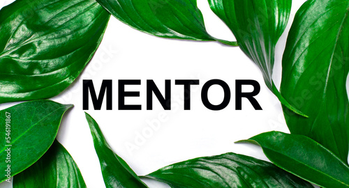 Against the background of green natural leaves, a white card with the text MENTOR