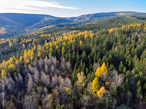 Obraz na płótnie Aerial view of mountain hills covered with dense green and yellow lush woods on bright summer day. w salonie