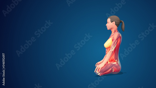 3D human Siddhasana or Adept’s yoga Pose on blue background photo