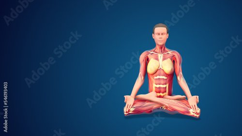 3D human Padmasana or Lotus yoga pose on blue background