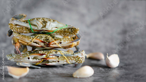 Close-up shot of fresh blue crab isolated on background, sea crab. Seafood. Seafood concept and spices and garlic.
