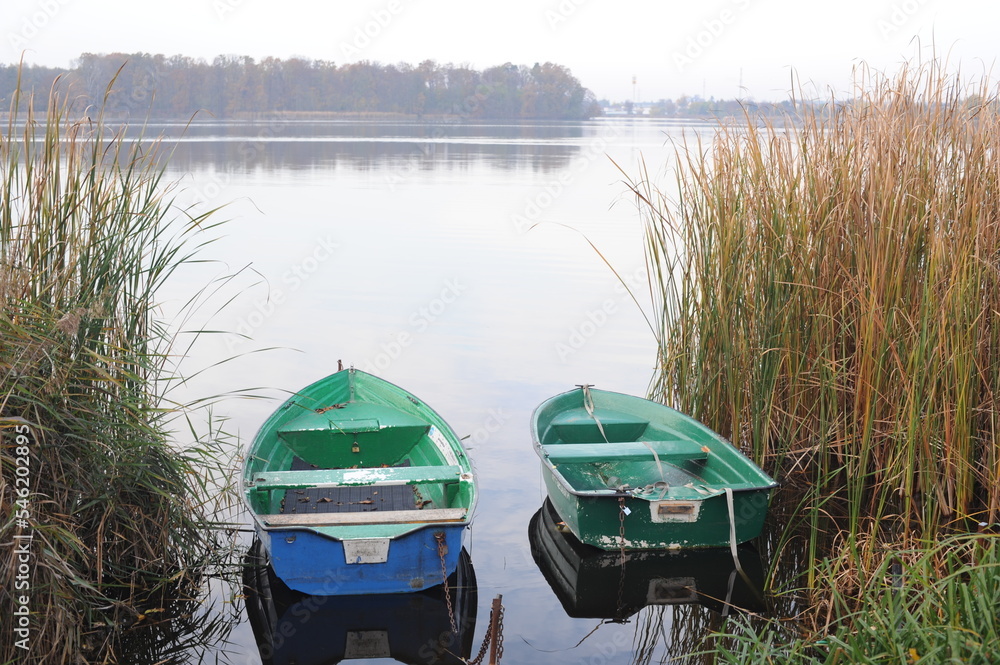 Rowing fishing boats anchored at the shore of a lake among weeds in Europe