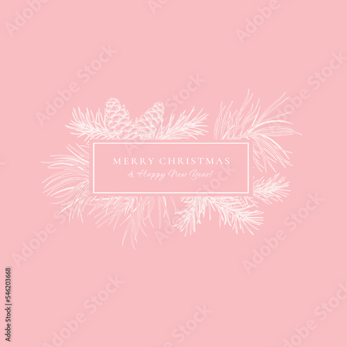 Christmas abstract card with rectangle frame. Botanical illustration with fir and pine branches and cones. Vector holiday card. Pink background and white greeting. Sketch.