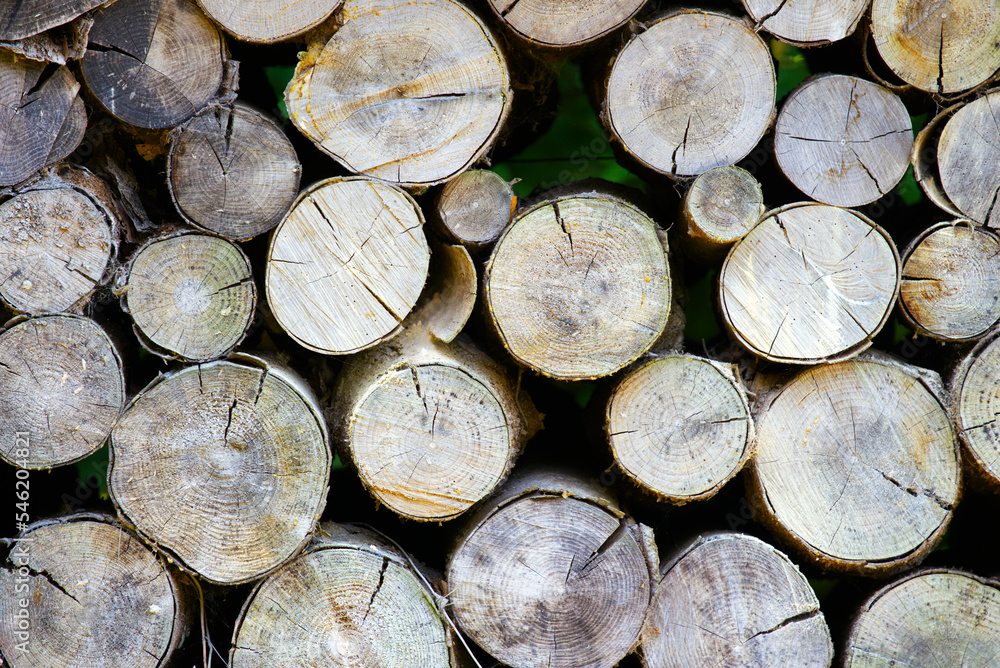 Close-up of stapled fire wood at village of Kyburg, Canton Zürich, on a sunny late summer day. Photo taken September 2nd, 2022, Kyburg, Switzerland. Close-up of stapled fire wood at village of Kyburg, Canton Zürich, on a sunny late summer day. Photo taken September 2nd, 2022, Kyburg, Switzerland.