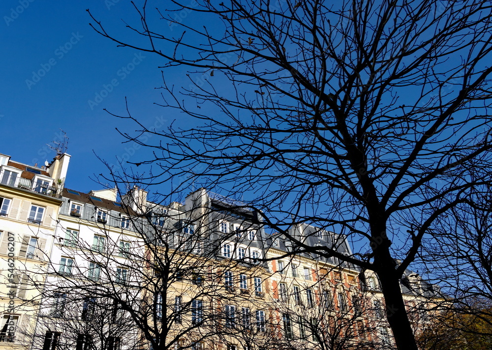 Immeubles parisiens en hiver. Arbres ayant perdu leurs feuilles.