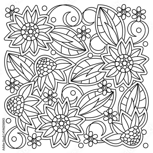 Floral coloring book page for adults. Doodle Flowers and leaves. Vector black and white illustration. Hand-drawn background.