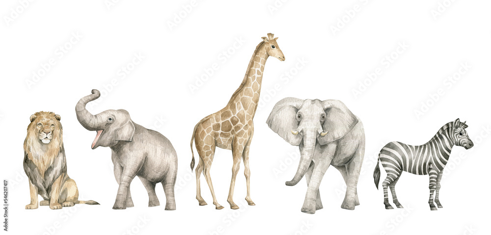 Watercolor set with wild savannah animals. Giraffe, elephants, lion, zebra. Cute safari wildlife animal - obrazy, fototapety, plakaty 