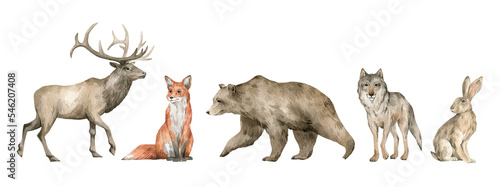 Watercolor set with wild forest animals. Deer, fox, bear, wolf, hare. Cute hand-painted woodland wildlife © Kate K.