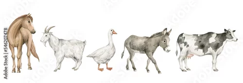 Panel kuchenny z motywem Watercolor set with domestic animals. Horse, goat, goose, donkey, cow. Cute hand-painted farm animals