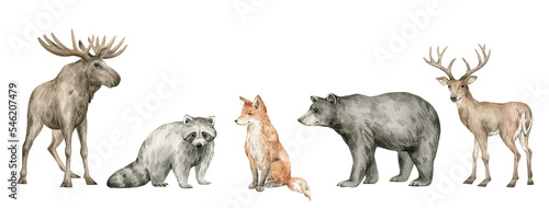 Watercolor set with wild forest animals. Deer, moose, fox, bear, raccoon. Cute hand-painted woodland wildlife © Kate K.