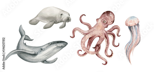 Photography Watercolor set with underwater animals