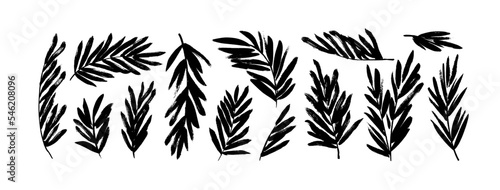 Palm leaves silhouettes isolated on white background. Hand drawn palm branches collection. Sketch style tropical leaves drawn by brush. Abstract plant black ink elements. Monochrome vector clip arts.