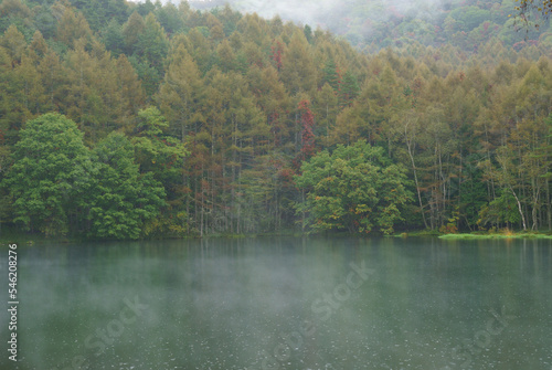 Fototapeta Naklejka Na Ścianę i Meble -  霞の出ている初秋の森と池　-日本、御射鹿池