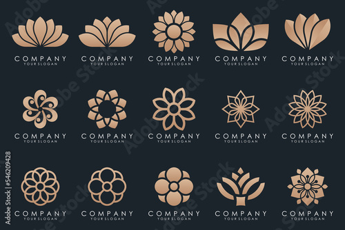 Abstract elegant flower rose logo icon set.