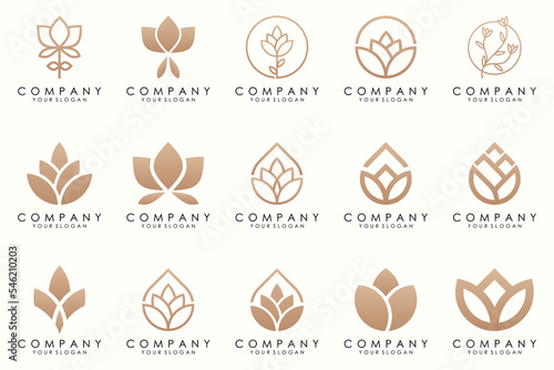 Abstract elegant flower rose logo icon set.