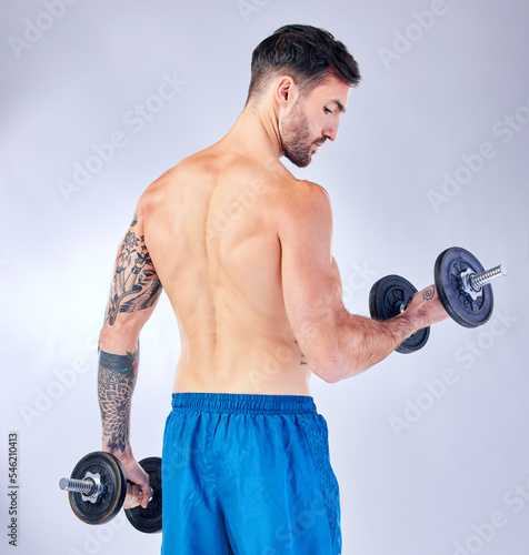 Bodybuilder back  dumbbells and background in studio for fitness  health or training with focus. Man  weightlifting exercise and sport workout for body  power and muscle with iron for bodybuilding