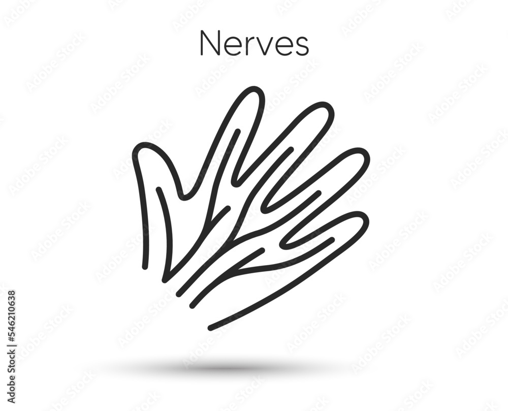 Hand nerves line icon. Varicose veins disease symbol. Health anatomy sign. Illustration for web and mobile app. Line style nerves syndrome icon. Editable stroke hand veins. Vector Hand nerves line icon. Varicose veins disease symbol. Health anatomy sign. Illustration for web and mobile app. Line style nerves syndrome icon. Editable stroke hand veins. Vector