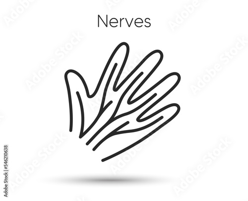 Hand nerves line icon. Varicose veins disease symbol. Health anatomy sign. Illustration for web and mobile app. Line style nerves syndrome icon. Editable stroke hand veins. Vector