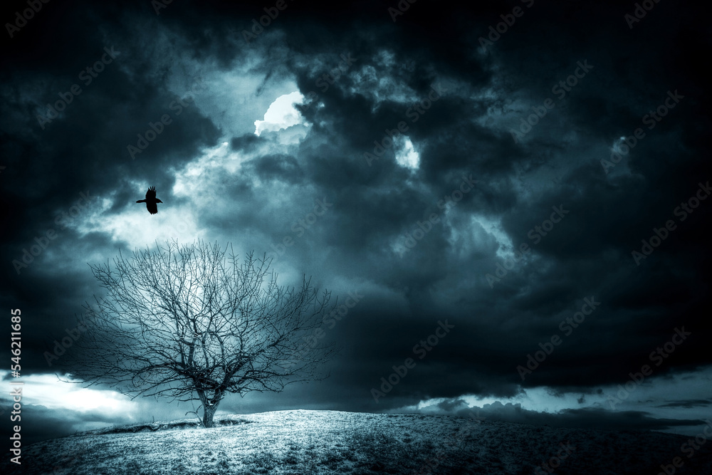 Landscape silhouette of a lonely tree on a hill, dramatic dark storm clouds in the background, horror mood and raven in flight Landscape silhouette of a lonely tree on a hill, dramatic dark storm clouds in the background, horror mood and raven in flight