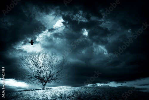 Landscape silhouette of a lonely tree on a hill, dramatic dark storm clouds in the background, horror mood and raven in flight
