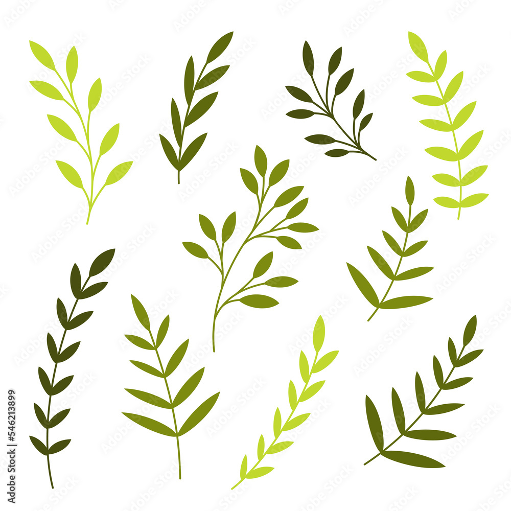 Naklejka premium Floral elements. Set of different branches, leaves. Botanical vector illustration. 
