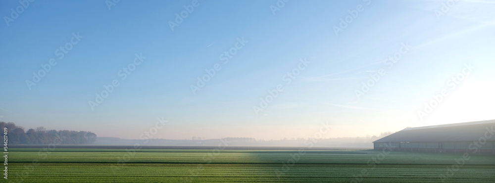 Fototapeta premium farm barn and empty autumn field near zeewolde in dutch province of flevoland on early moring in the fall
