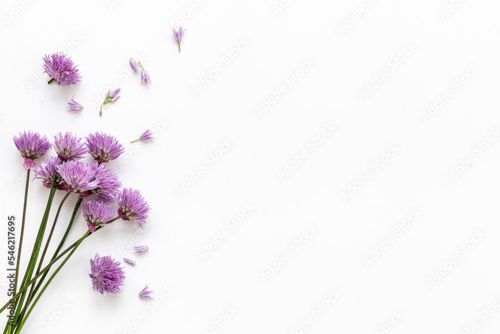 Essence of wild medicinal herbs. Herbal apothecary with wild flowers Essence of wild medicinal herbs. Herbal apothecary with wild flowers